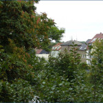 2013-09_Merseburg-Halle_04