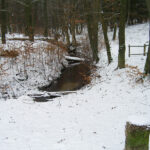 2013-03_Basdorf-Muehlenbeck_05