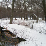 2013-03_Basdorf-Muehlenbeck_09