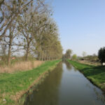 2013-06_Trebbin-Stuecken_03