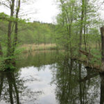 2013-07_Angermuende-Wolletz_08