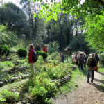 2013-09_Friedrichshagen-Schoeneiche_11