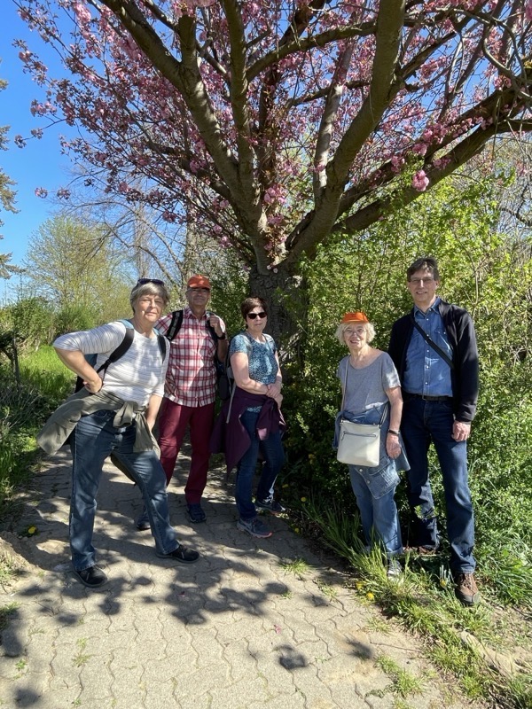 Fuenf und ein Baum